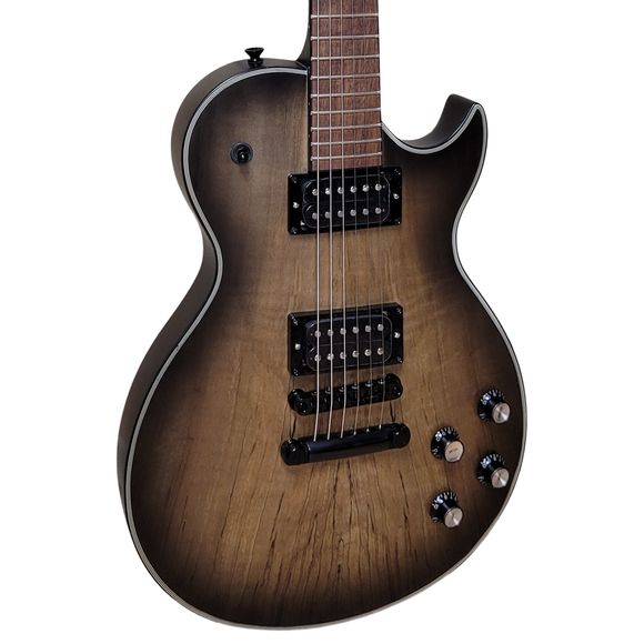 Santana_Kloppmann_LTD_E-Gitarren_2